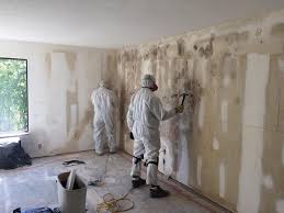 Best Residential Mold Inspection & Testing  in Belle Chasse, LA